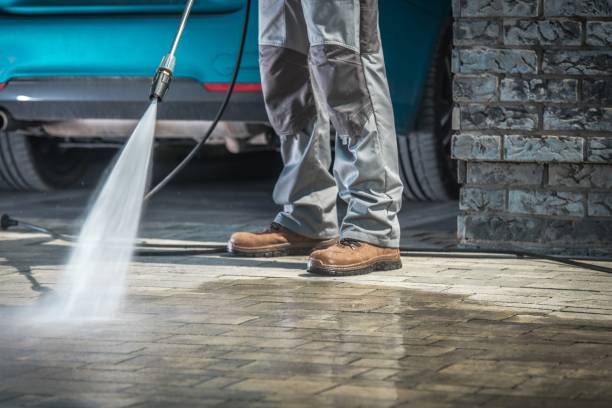 Best Soft Washing  in Chamberlayne, VA
