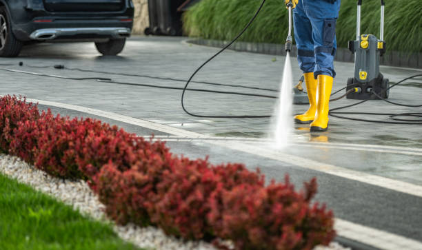 Best Patio and Deck Pressure Washing  in Chamberlayne, VA